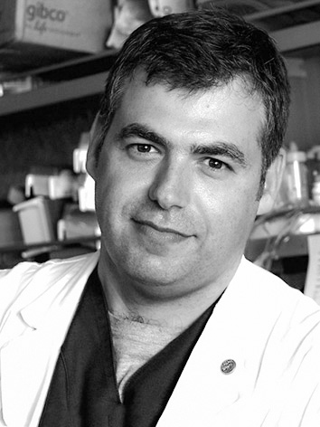 Daniele Torella, MD, PhD